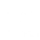 Elevate by Primal Athletics