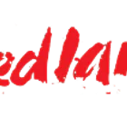 Bedlam Paintball Darlington