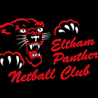 ELTHAM PANTHERS JUNIOR NETBALL CLUB