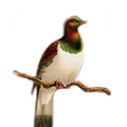 Northland Golf Club