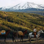 U Bar Ranch