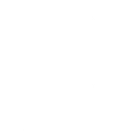 Iron Viking Training
