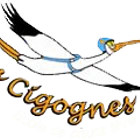 CIGOGNES CHUTE LIBRE