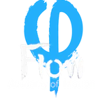 Flow - Academy Of Motion | Albany