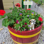Mindemoya Court Cottages & Campground