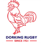 Dorking RFC Minis Festival