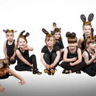 Dancemania Dance Company