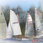 Polar Pursuit Race