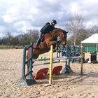ECURIE DU PLONGEON