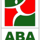 Ace Badminton Academy