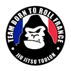 Jjb Toulon | Jiu Jitsu Brazilian | Team Btr