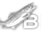 Bamfield Fishing Charters