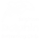 Brighton Dolphin Swimming Club