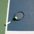 Great Court Race
