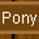 Own a Pony Day