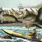 Aleoutes Kayak de Mer