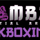 Mamba Martial Arts Karate, Boxing, and Kickboxing Classes