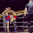 The Dungeon Bjj - K1 Kickboxing and mma