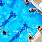 Kleinburg Swim Academy