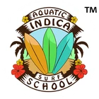 Aquatic Indica Surf School