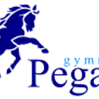 Pegasus Gymnastics Club