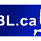 Mississauga Men's Baseball League
