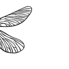 AKTBA