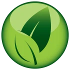 Yoga Foundation classes