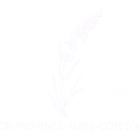 Villa La Caline