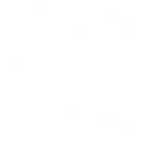 Z-4 DANCING NETWORK