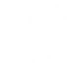 Les Dauphins Du Centre Brie