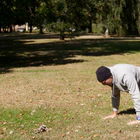 Tom Harrigan Fitness and Pilates