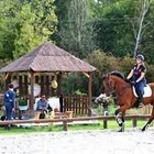 ECURIES DE L AUBOIS