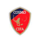 Cosmo International Football Academy