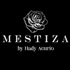 Flamenco Fusion - MESTIZA