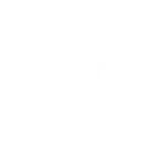 Raack Academy of Dance thoraipakkam