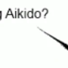 Aikido Shinryukan Canterbury