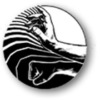 Art Du Chi