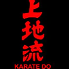 Uechi Ryu Karate School Mattannur