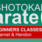 Copthall Karate Club