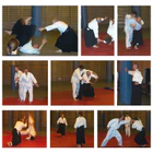 Aikido Lanaudire