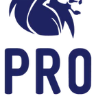 Pro Eleven Football Academy