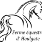 Horse Farm Blin