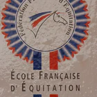 CENTRE EQUESTRE PACHKA