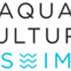 Aqua Culture Swim Academy Brookvale