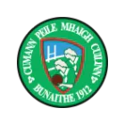Moycullen Sports GAA Cúl Camp 2024
