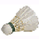 Frampton Cotterell Badminton Club