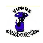 Vipers Roller Hockey Club Inc