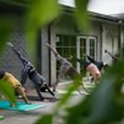 Oak Tree Yoga