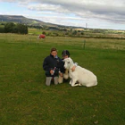 Muirhead Stables